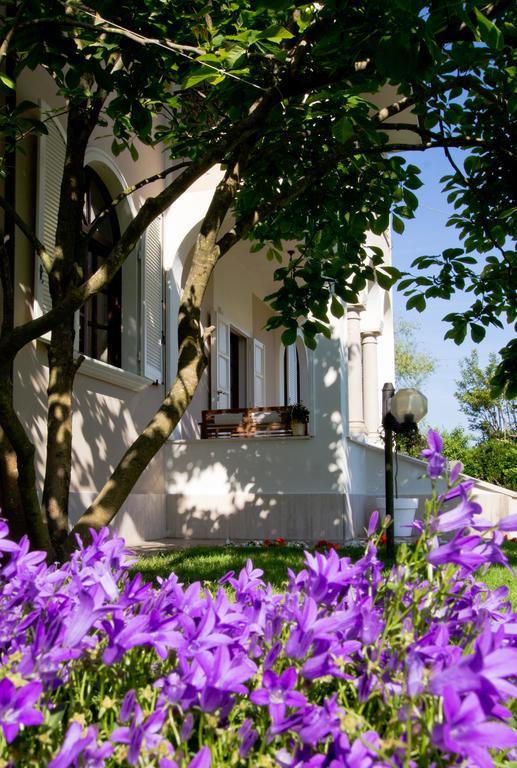 La Coralia B&B Маса Екстериор снимка